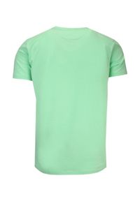 MCL - T-Shirt Męski Zielony z Nadrukiem w Żaglówkę, Koszulka, Krótki Rękaw, U-neck. Okazja: na co dzień. Kolor: zielony. Materiał: elastan, bawełna. Długość rękawa: krótki rękaw. Długość: krótkie. Wzór: nadruk. Sezon: wiosna, lato. Styl: casual