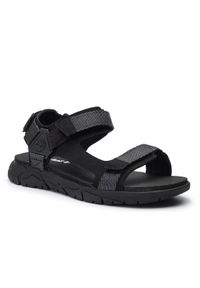 Timberland Sandały Windham Trail Sandal TB0A1V30015 Czarny. Kolor: czarny. Materiał: skóra #1