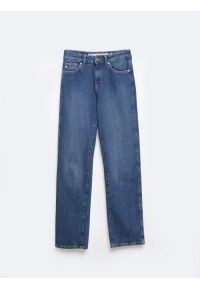 Big-Star - Jeansy damskie z prostą nogawką niebieskie Myrra 313. Okazja: na co dzień. Kolor: niebieski. Styl: casual, sportowy #7