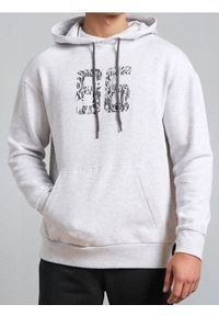 Sinsay - Bluza hoodie - szary. Kolor: szary #1