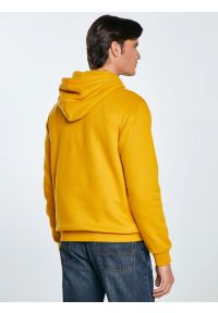 Big-Star - Bluza męska z nadrukiem z kapturem żółta Aslan 203. Okazja: na co dzień. Typ kołnierza: kaptur. Kolor: złoty. Materiał: dzianina, denim. Wzór: nadruk. Styl: casual, klasyczny