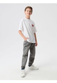 Sinsay - Jeansy jogger z efektem sprania - szary. Kolor: szary