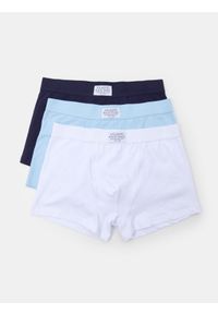 Sinsay - Bokserki Classic 3 pack - wielobarwny