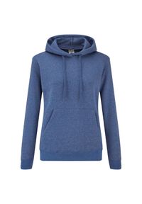FRUIT OF THE LOOM - Dopasowana Bluza Damska Kaptur. Kolor: niebieski. Wzór: nadruk