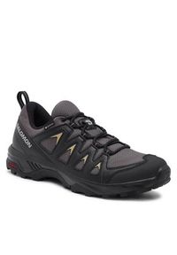 salomon - Salomon Trekkingi X Braze GORE-TEX L47180500 Szary. Kolor: szary. Technologia: Gore-Tex. Sport: turystyka piesza #5