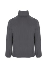 ROLY - Męska Bluza Polarowa Artic Z Pełnym Zamkiem Błyskawicznym. Kolor: szary. Materiał: polar. Sezon: zima. Styl: sportowy