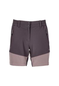Spodenki damskie Whistler Lala Stretch. Kolor: wielokolorowy, beżowy, brązowy