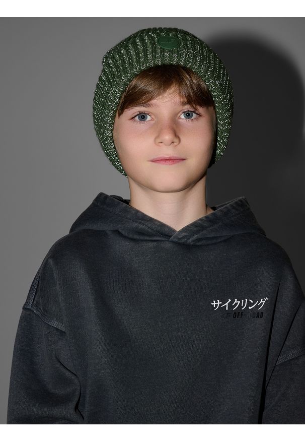 4f - 4F Czapka beanie odblaskowa chłopięca - khaki Uniwersalny. Kolor: wielokolorowy, oliwkowy, brązowy. Materiał: materiał, syntetyk. Sezon: zima. Styl: casual, klasyczny, młodzieżowy
