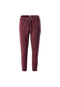 IQ - Spodnie Do Joggingu Damskie Sorinnis. Kolor: fioletowy. Sport: bieganie