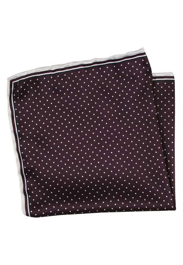 Poszetka EM Men's Accessories w kropki