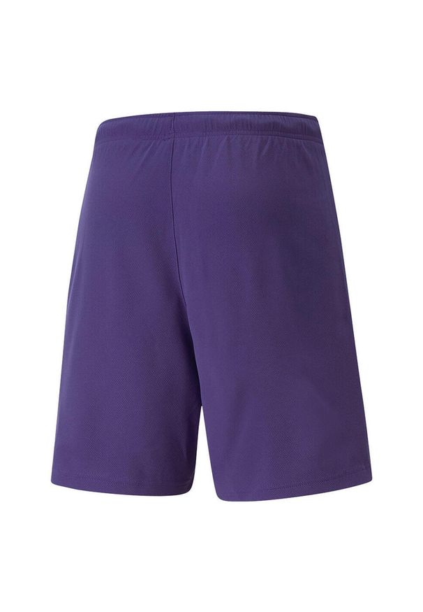 Puma - Męskie Spodenki Dresowe TeamRISE. Kolor: fioletowy. Materiał: dresówka