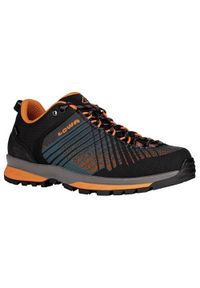 Buty trekkingowe męskie Lowa Carezza Gtx Low 2024. Kolor: wielokolorowy. Materiał: materiał, syntetyk. Szerokość cholewki: normalna