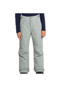 Spodnie narciarskie dla dzieci Roxy Diversion. Kolor: zielony. Materiał: poliester. Sezon: zima. Sport: narciarstwo #1