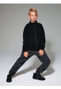 Sinsay - Termiczne spodnie parachute z polarem wewnątrz Active - szary. Kolor: szary. Materiał: polar #1