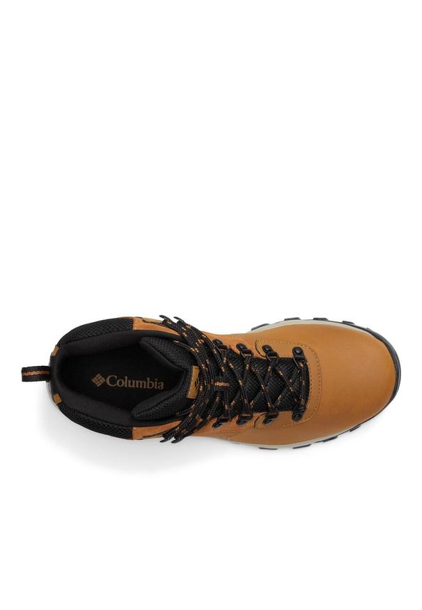 columbia - Columbia Buty Newton Ridge Plus Ii 1594731291. Kolor: czarny, brązowy, wielokolorowy