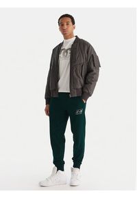 DC Shoes Spodnie dresowe ADYFB03072 GTP0 Zielony Regular Fit. Kolor: zielony. Materiał: bawełna, syntetyk #4