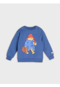 Sinsay - Bluza Paddington - granatowy. Kolor: niebieski. Wzór: nadruk