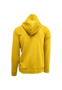 Bluza z kapturem Diadora Big Logo, Mężczyźni. Typ kołnierza: kaptur. Kolor: żółty. Materiał: bawełna, materiał