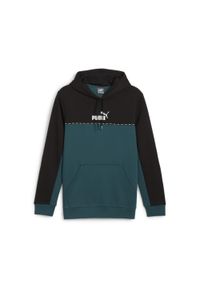 Puma - Męska bluza z kapturem Essentials Block Tape PUMA Cold Green. Typ kołnierza: kaptur. Kolor: zielony. Sport: fitness #1