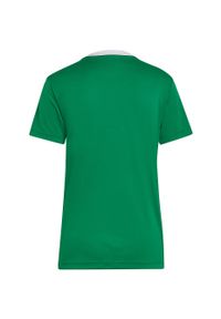 Koszulka piłkarska damska Adidas Entrada 22 Jersey. Kolor: zielony, biały, wielokolorowy. Materiał: jersey. Sport: piłka nożna