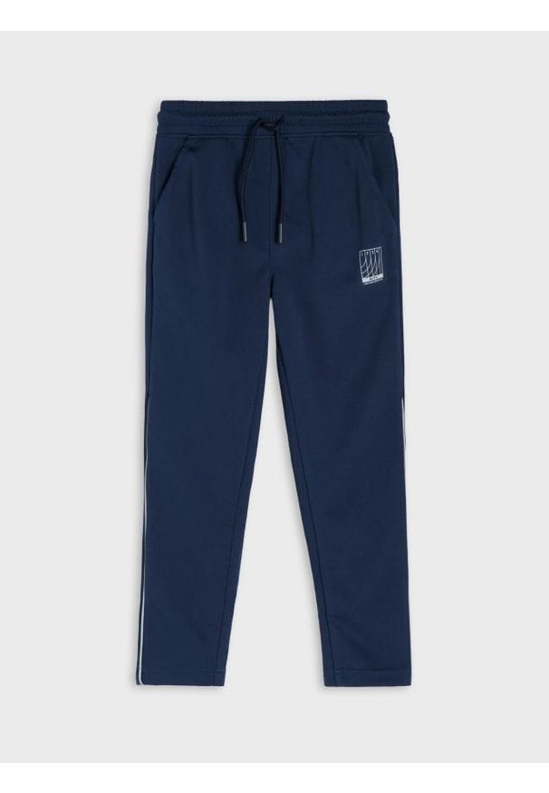 Sinsay - Sportowe spodnie jogger z odblaskowym nadrukiem Active - granatowy. Kolor: niebieski. Wzór: nadruk. Styl: sportowy
