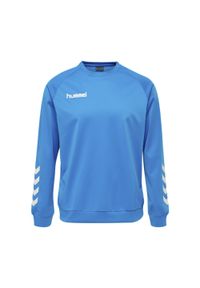 Bluza do piłki ręcznej dla dorosłych Hummel Promo Poly Sweatshirt. Kolor: niebieski. Sport: piłka ręczna #1