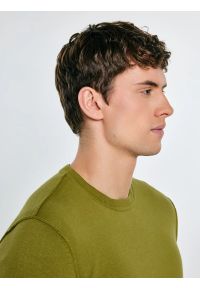 Big-Star - Sweter męski bawełniany zielony Simoner 301. Okazja: na co dzień. Kolor: zielony. Materiał: bawełna. Długość rękawa: długi rękaw. Długość: długie. Wzór: gładki, aplikacja, ze splotem. Styl: casual, klasyczny #6