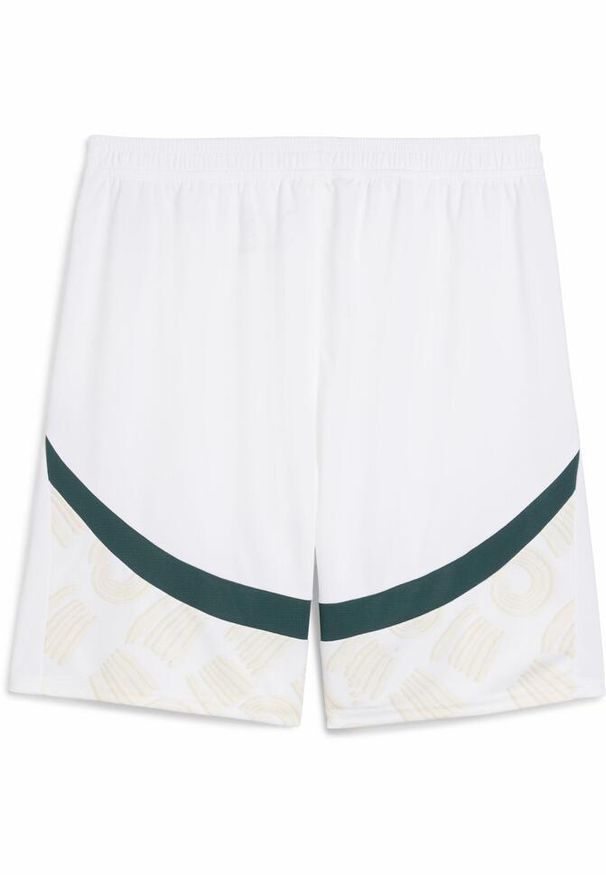 Puma - Męskie szorty Wybrzeże Kości Słoniowej 2025 PUMA White Dark Myrtle Green. Kolor: biały, wielokolorowy, zielony