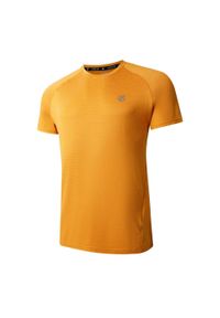 DARE 2B - T-shirt Męski Melanżowy Persist. Kolor: szary. Wzór: melanż