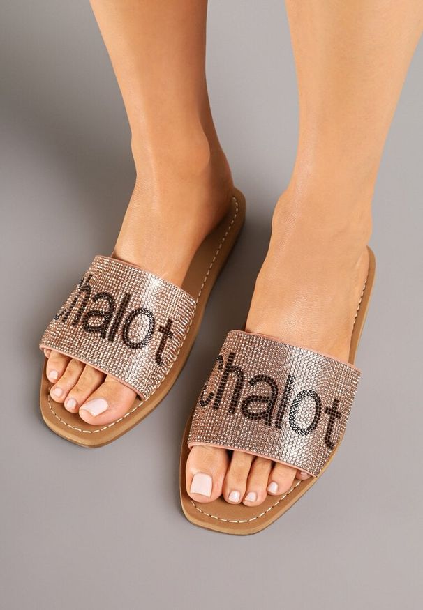 Renee - Szampańskie Klapki na Płaskiej Podeszwie z Napisem Tulevelis. Okazja: na co dzień. Kolor: złoty. Materiał: jeans. Wzór: napisy. Obcas: na płaskiej podeszwie. Styl: elegancki, casual