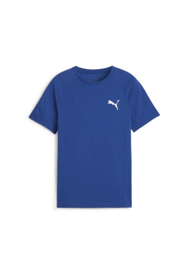Puma Koszulka Evostripe 67919517. Kolor: szary, niebieski, wielokolorowy