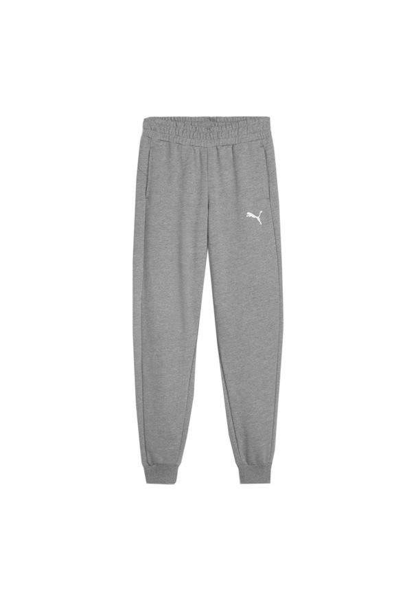 Puma - Spodnie Do Joggingu Dziecięce Team Goal. Kolor: szary. Sport: bieganie