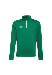 Adidas - Bluza piłkarska dla dzieci adidas Entrada 22 Training Top. Kolor: zielony. Sport: piłka nożna #1