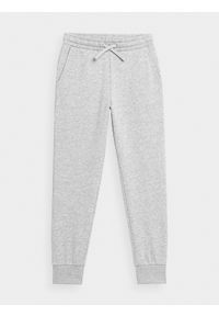 4f - 4F Spodnie dresowe joggery dziewczęce 122 (6-7 lat). Okazja: na co dzień. Kolor: szary. Materiał: dresówka. Sezon: lato. Styl: casual #1