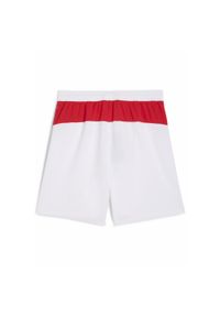 Puma - Męskie szorty AC Milan 25/26 PUMA White. Kolor: biały. Materiał: tkanina. Sport: piłka nożna