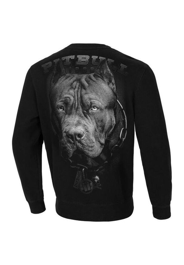 PITBULL - Bluza męska Pitbull Born In 1989. Kolor: czarny. Sport: fitness