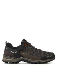 Salewa Trekkingi Ms Mrn Trainer Lite Gtx GORE-TEX 61361-7512 Brązowy. Kolor: brązowy. Materiał: materiał. Technologia: Gore-Tex. Sport: turystyka piesza