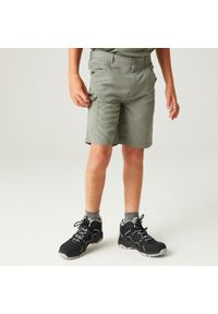 Regatta - Sorcers II dziecięce spodnie trekkingowe. Kolor: zielony. Materiał: poliester. Styl: sportowy. Sport: turystyka piesza #1