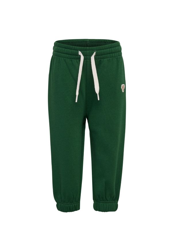 Spodnie dresowe dla dzieci Hummel Bee Loose. Kolor: zielony. Materiał: dresówka. Sport: bieganie