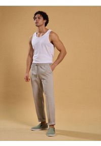 Sinsay - Spodnie chino jogger - zielony. Kolor: zielony