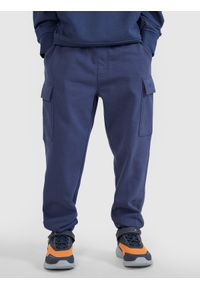 4f - 4F Spodnie dresowe joggery chłopięce - szare 146 (10-11 lat). Okazja: na co dzień. Kolor: szary. Materiał: dresówka. Wzór: gładki, ze splotem. Sezon: lato. Styl: sportowy, casual