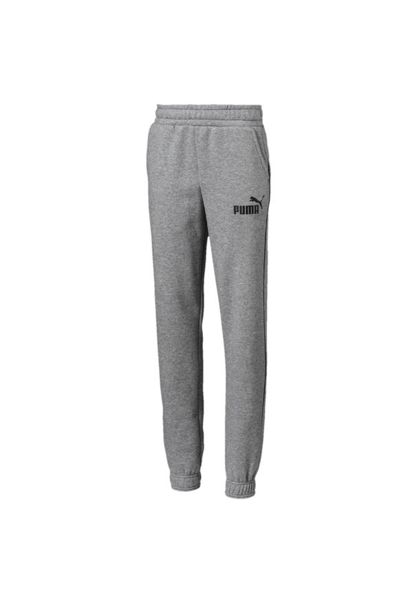 Puma Spodnie Ess Logo 85210703. Kolor: szary