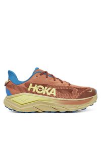 HOKA - Buty do biegania Hoka. Kolor: brązowy
