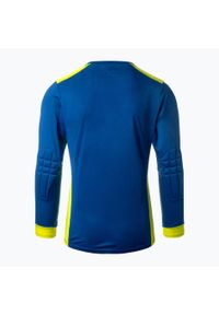 Longsleeve bramkarski Reusch Match Longsleeve Padded. Kolor: niebieski. Długość rękawa: długi rękaw