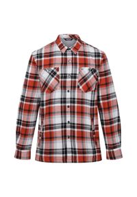 Regatta - Męska Koszula Thamos. Kolor: niebieski, wielokolorowy, różowy, czerwony, szary. Sport: turystyka piesza #1