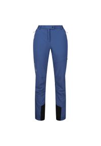 Regatta - Spodnie Na Piesze Wędrówki Damskie Mountain III. Kolor: szary, niebieski, wielokolorowy. Sezon: lato. Sport: turystyka piesza #1