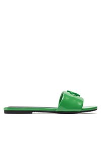 Calvin Klein Jeans Klapki Flat Sandal Slide Mg Met YW0YW01348 Zielony. Kolor: zielony #1