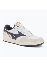 Buty Mizuno City Wind. Kolor: szary, biały, wielokolorowy, beżowy. Styl: sportowy. Sport: turystyka piesza