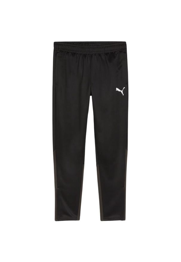Puma - Męskie Treningowe Spodnie Do Biegania Team Goal. Kolor: czarny. Materiał: dresówka