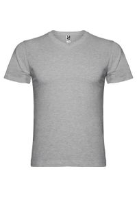 ROLY - Męska Koszulka Samoyedo Z Dekoltem V. Kolor: szary. Sport: turystyka piesza #1